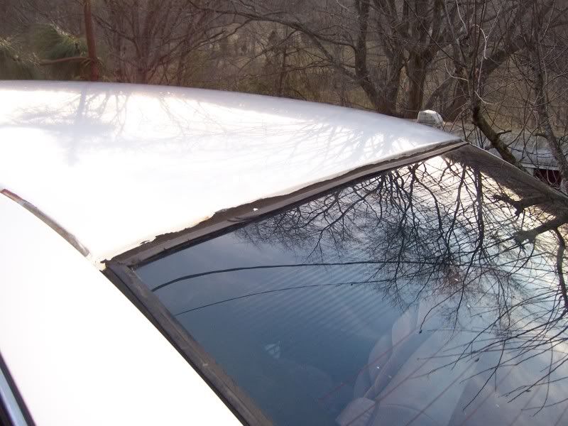 150 to reseal rear windshield? Chevy Impala SS Forum